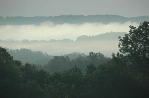 Fogged In